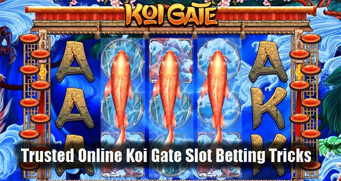 Trusted Online Koi Gate Slot Betting Tricks